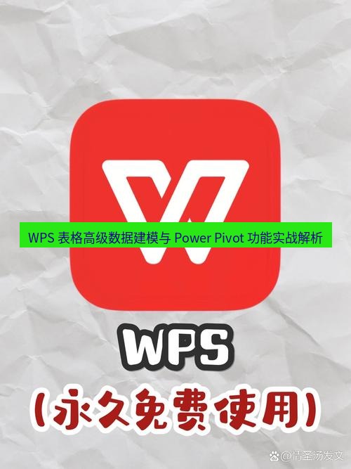 wps WPS 表格高级数据建模与 Power Pivot 功能实战解析