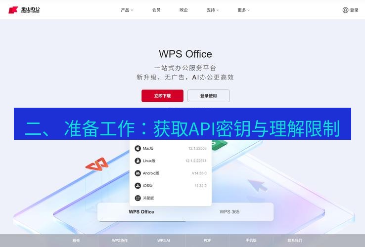 wps 二、 准备工作：获取API密钥与理解限制