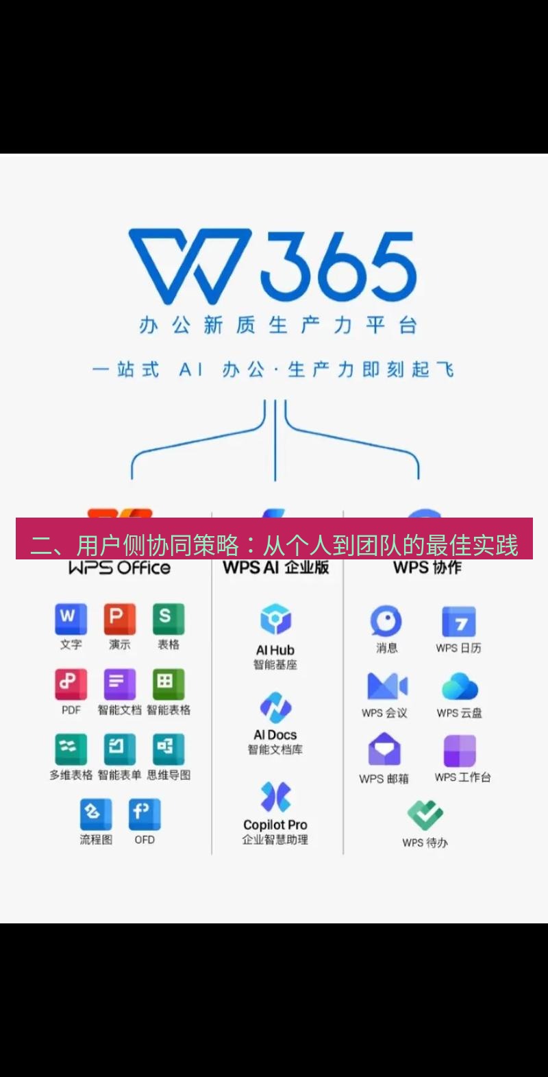 wps 二、用户侧协同策略：从个人到团队的最佳实践