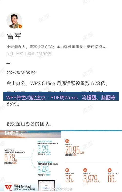 wps WPS特色功能盘点：PDF转Word、流程图、脑图等