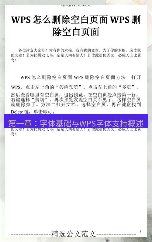 wps 第一章：字体基础与WPS字体支持概述
