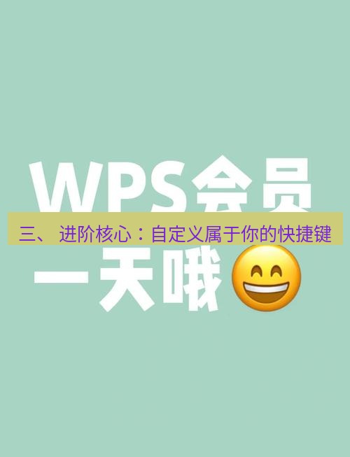 wps 三、 进阶核心：自定义属于你的快捷键