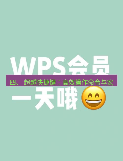 wps 四、 超越快捷键：高效操作命令与宏
