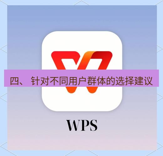 wps 四、 针对不同用户群体的选择建议