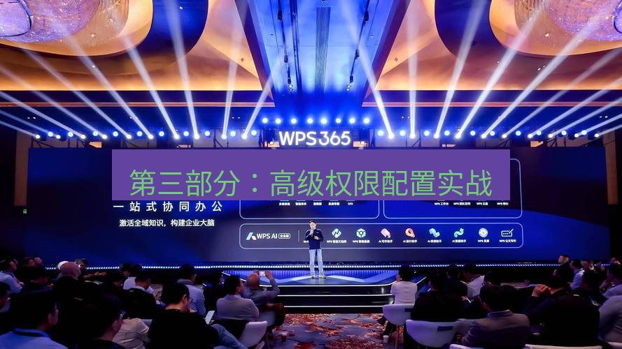 wps 第三部分：高级权限配置实战
