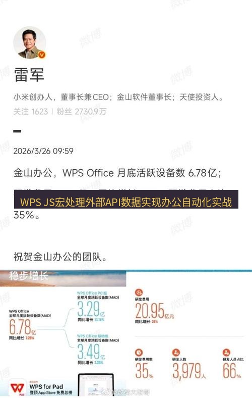 wps WPS JS宏处理外部API数据实现办公自动化实战