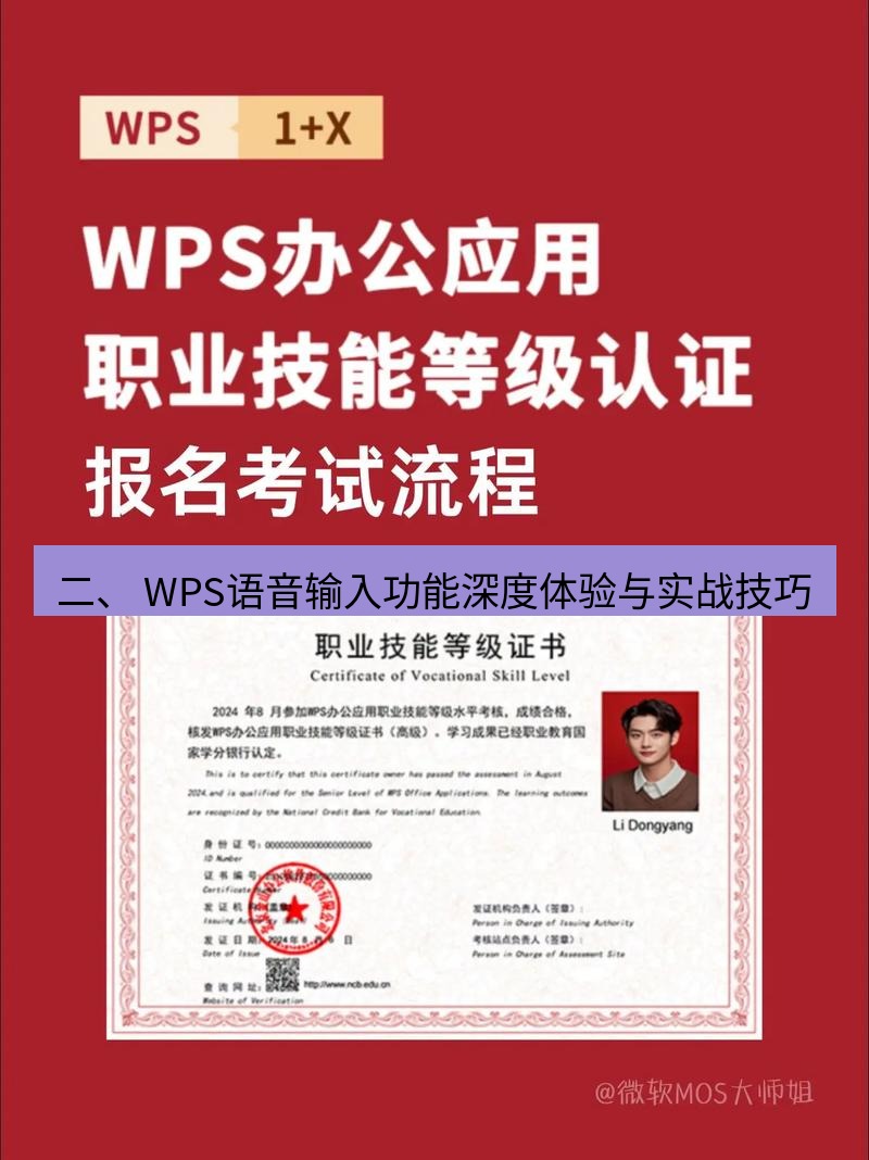 wps 二、 WPS语音输入功能深度体验与实战技巧
