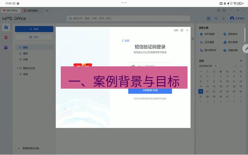 wps 一、案例背景与目标