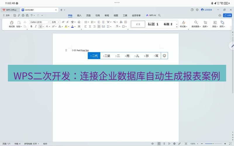 wps WPS二次开发：连接企业数据库自动生成报表案例