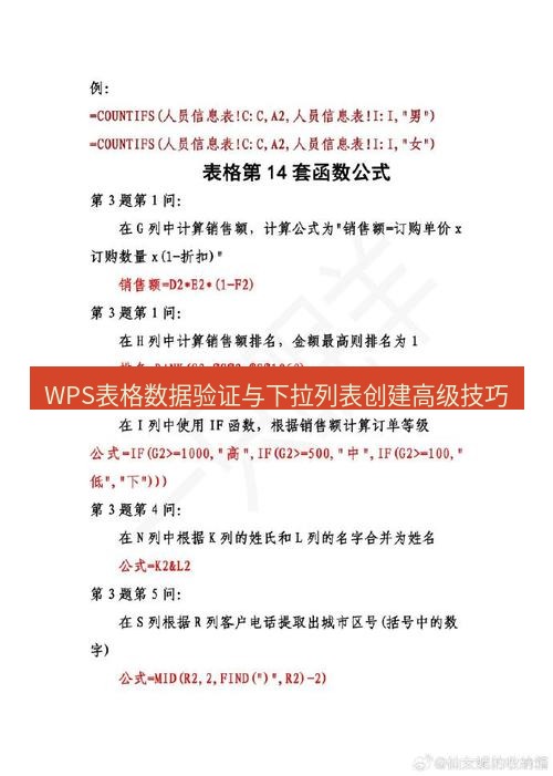 wps WPS表格数据验证与下拉列表创建高级技巧