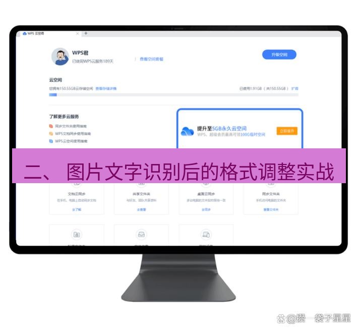 wps 二、 图片文字识别后的格式调整实战