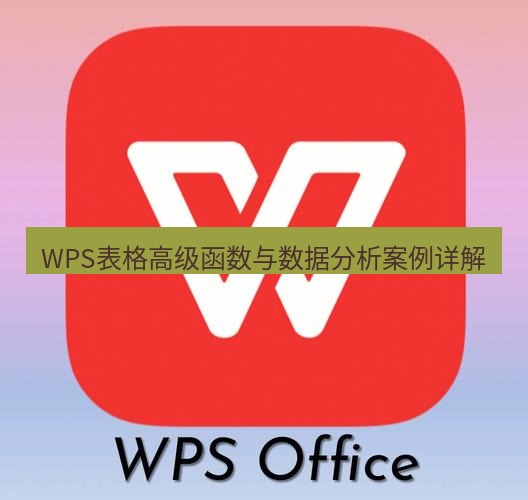 wps WPS表格高级函数与数据分析案例详解