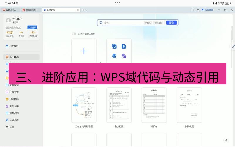 wps 三、 进阶应用：WPS域代码与动态引用